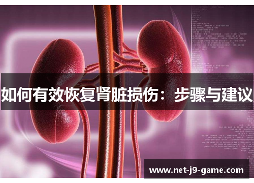 如何有效恢复肾脏损伤:步骤与建议 如何有效恢复肾脏损伤:步骤与建议