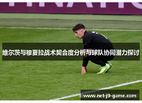 维尔茨与穆夏拉战术契合度分析与球队协同潜力探讨
