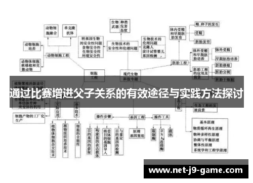 通过比赛增进父子关系的有效途径与实践方法探讨