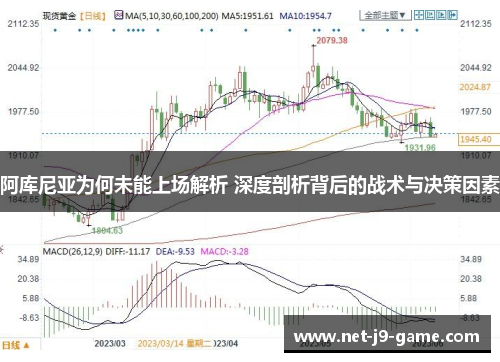阿库尼亚为何未能上场解析 深度剖析背后的战术与决策因素