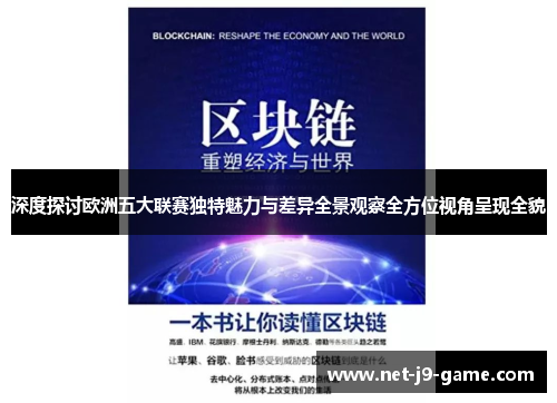 深度探讨欧洲五大联赛独特魅力与差异全景观察全方位视角呈现全貌